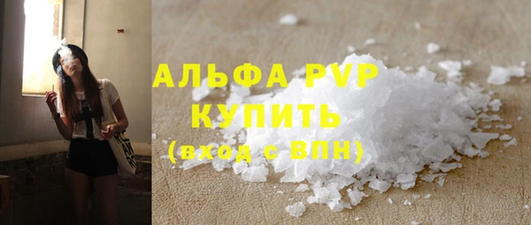 хмурый Арсеньев
