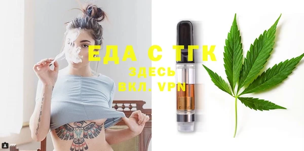 хмурый Арсеньев