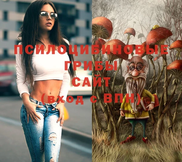 молекула духа Аркадак