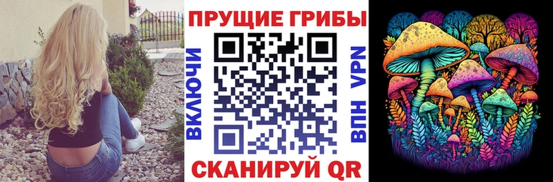 Псилоцибиновые грибы Psilocybe Богучар